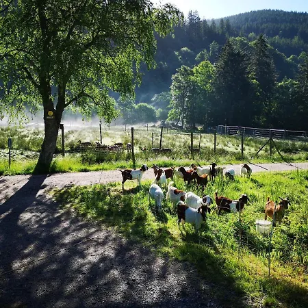 Appartement Kuckucksnest Menzenschwand-Hinterdorf