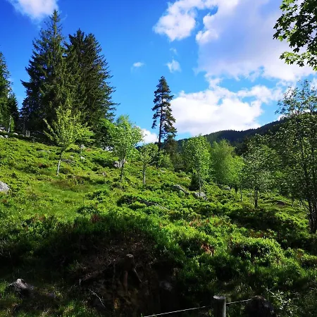 Kuckucksnest Menzenschwand-Hinterdorf